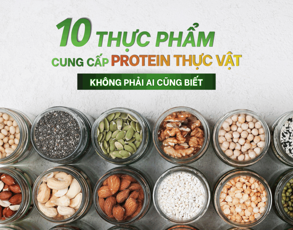 10 thực phẩm cung cấp protein thực vật
