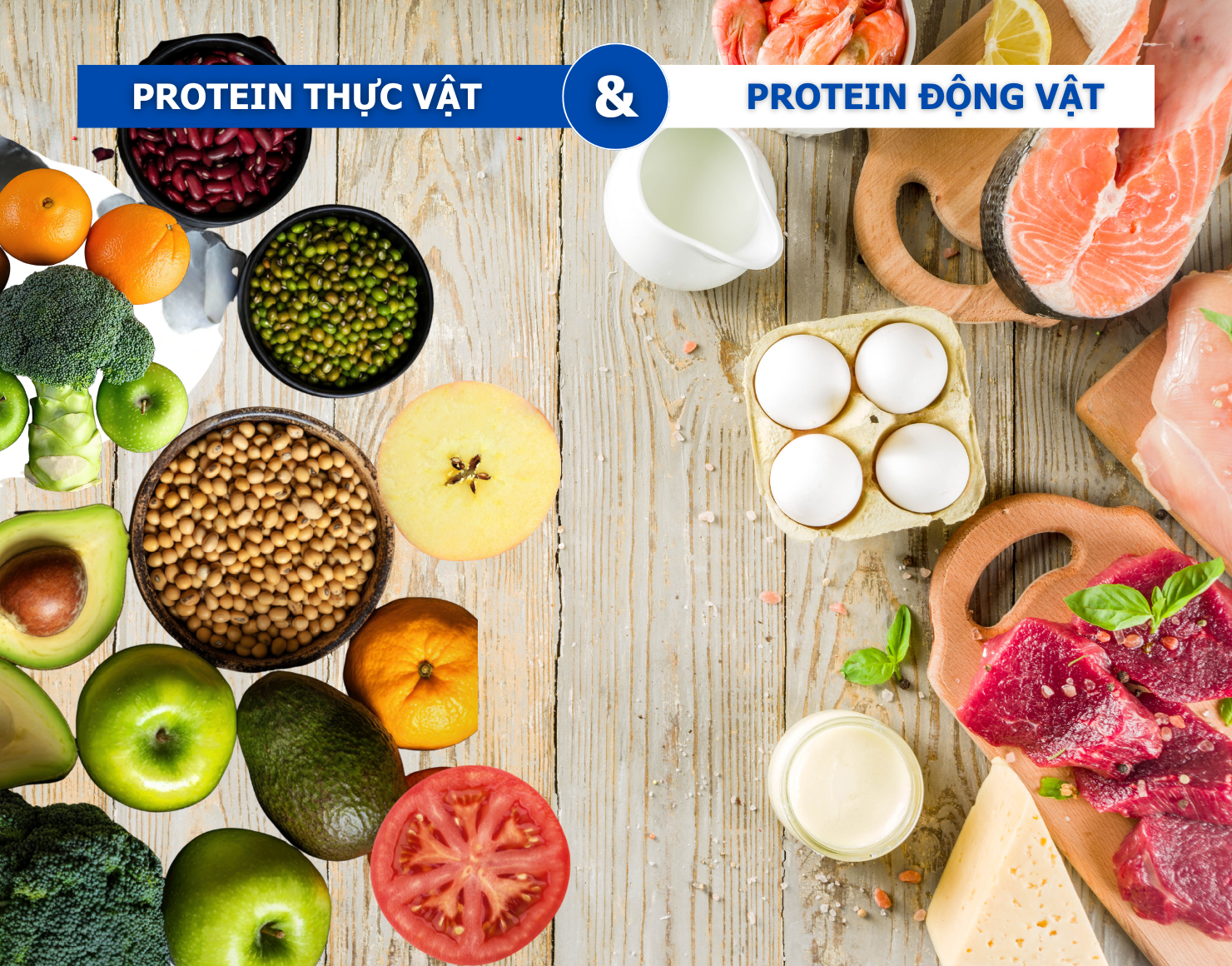 So sánh protein động vật và protein thực vật: Lựa chọn nào tốt cho cơ?